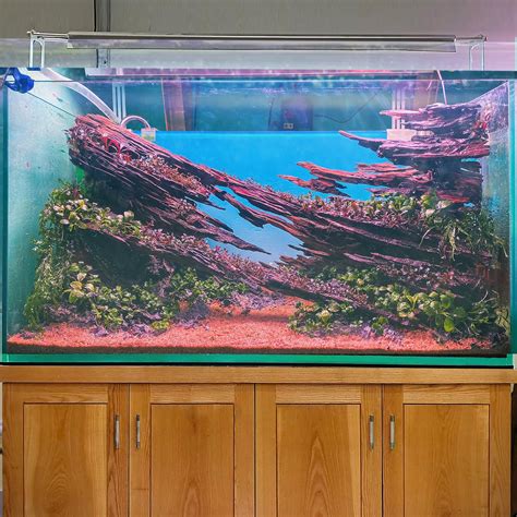 Aquarium Decor Large