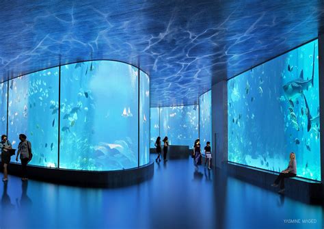 aquarium design