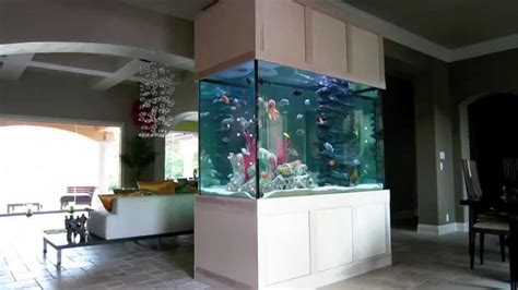 aquarium entryway