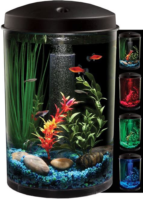 Large Fish Tank for Sale