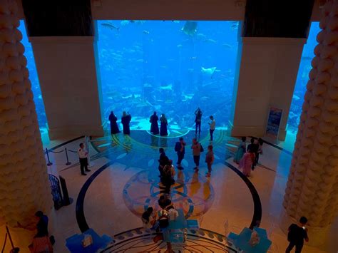 aquarium in atlantis dubai