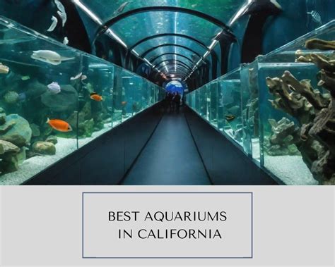 Aquarium In Bakersfield California