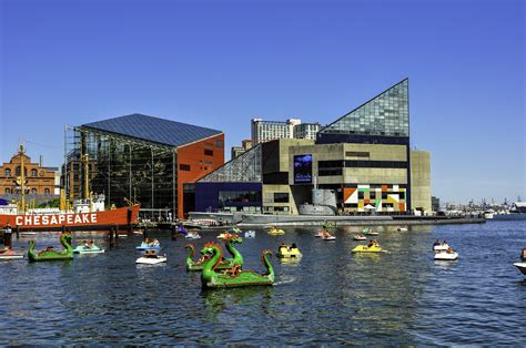 aquarium in baltimore maryland