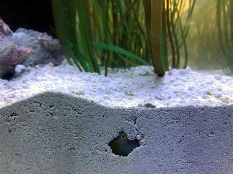 Aquarium In Sand