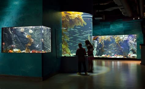 aquarium in sidney bc