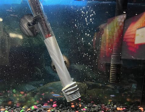 Aquarium Inline Heater Reddit