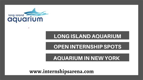 aquarium internships summer 2024