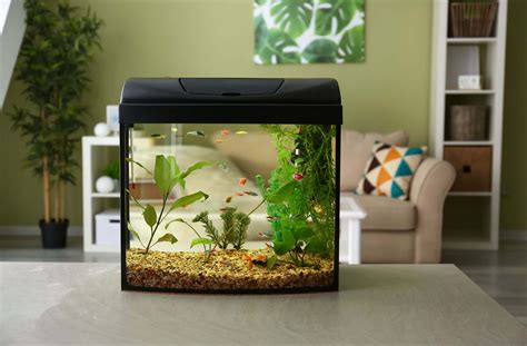 Aquarium Mini Size