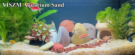 Aquarium Sand Amazon