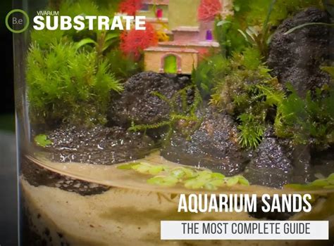 Aquarium Sand Substrate