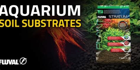 Aquarium Substrate Canada