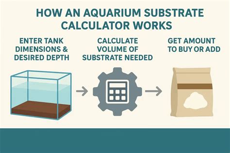 Aquarium Substrate Depth Calculator