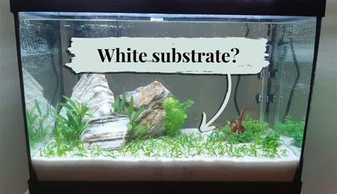 Aquarium Substrate White