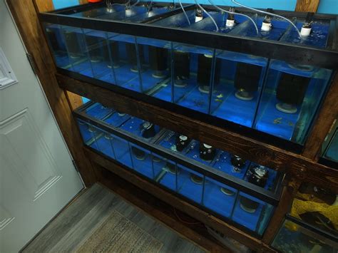 aquarium tank rack system filtration