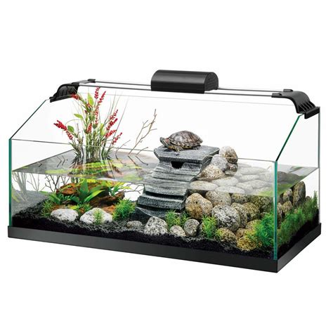 Aquarium Turtle Tank