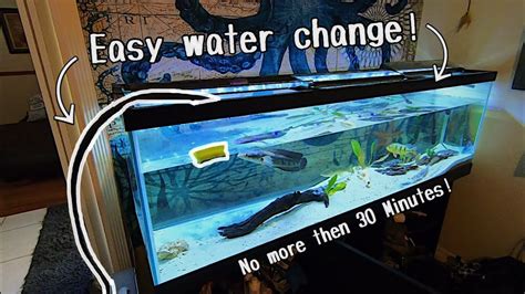 Aquarium water changes