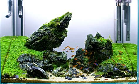 Aquascaping With Rocks