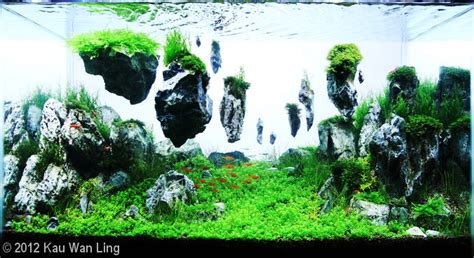 Aquascaping Floating Rocks