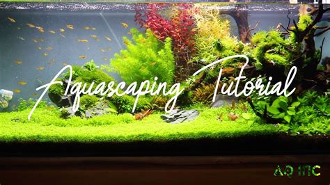 Aquascaping Youtube