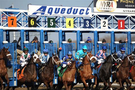 aqueduct racing dudes daily picks