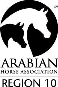 arabian horse youth association