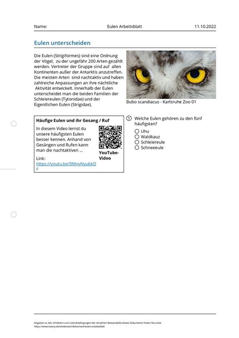 Arbeitsblatt "Eule findet den Beat Reggae" SUCHSEL mit 15 versteckten Wörtern