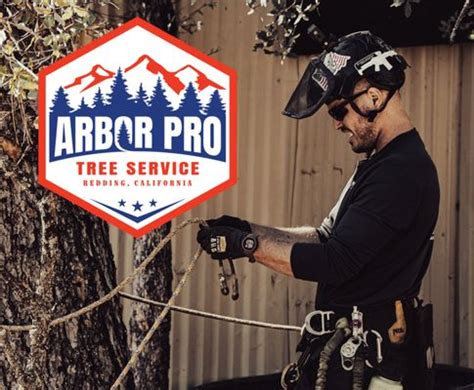 Photos for Arbor Wise Professional Tree Care Yelp