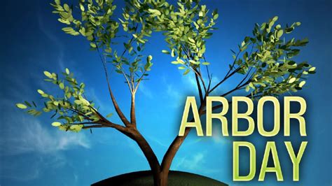 arbor day definition