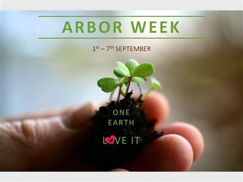 arbor day south africa