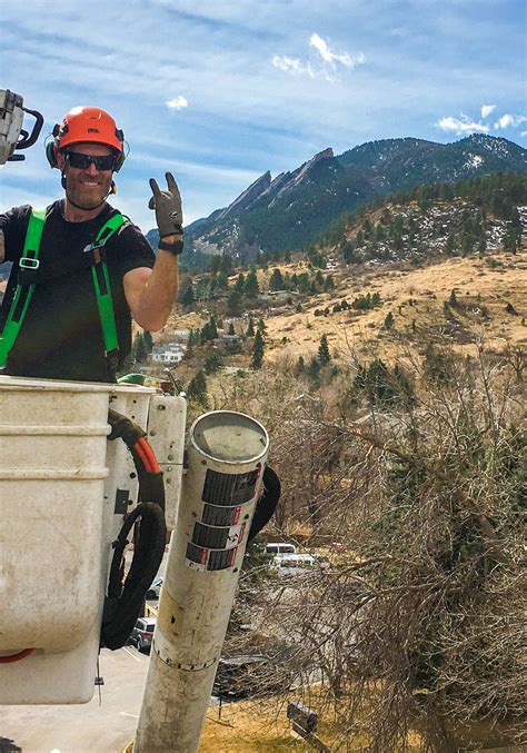arborists boulder co