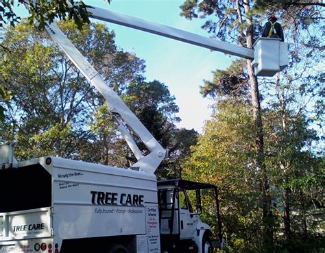 Arborists Cape Cod Ma