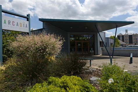 Arcadia Ancenis Avis