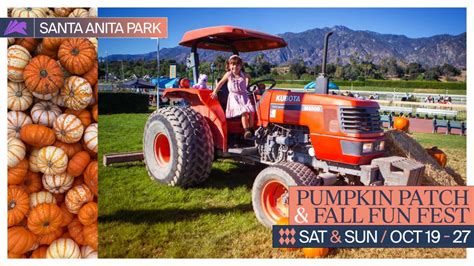 Arcadia Ca Pumpkin Patch