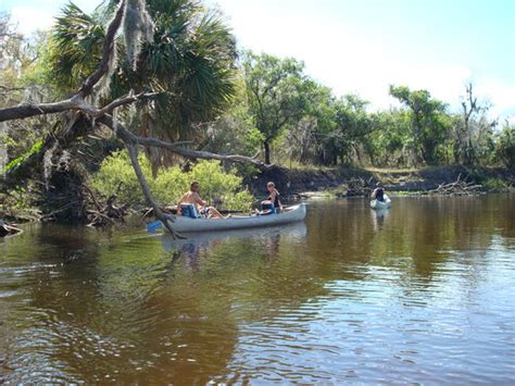 Arcadia Fl Kayaking