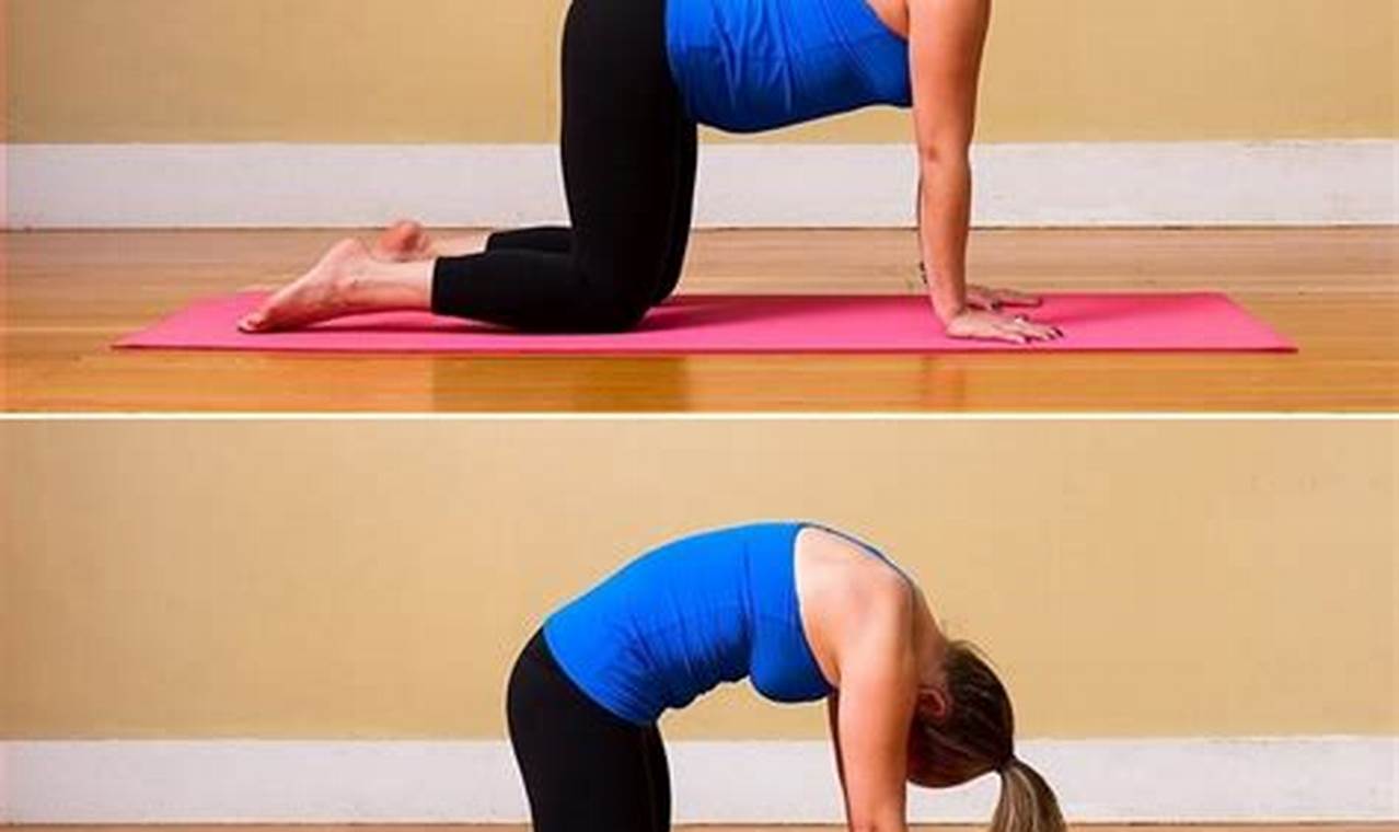 Discover the Benefits and Secrets of the Arch Your Back Challenge