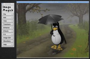 Arch Linux Imagemagick