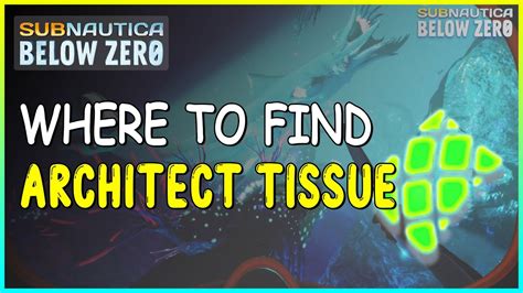 Architect Tissue Location