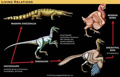 archosaurs