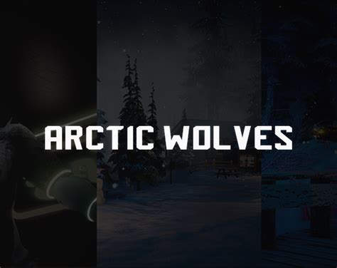 arctic wolves game