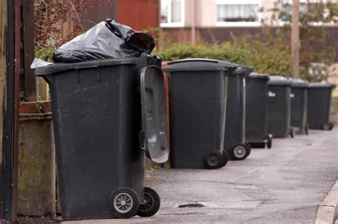 ards and north down council bin collection