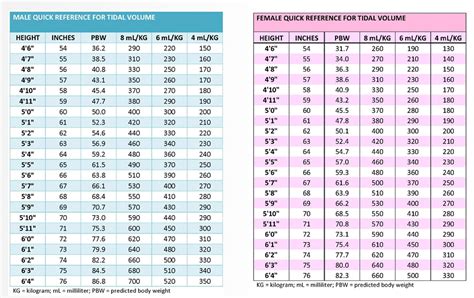 ards net tidal volume calculator