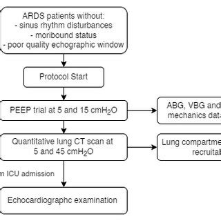 5 ARDS Protocol Tips