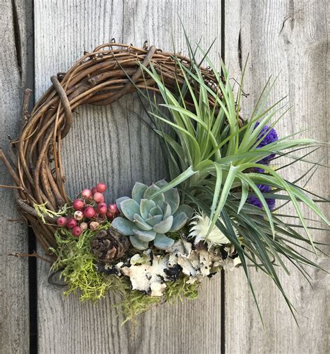 Stunning Air Plant & Succulent Planter Including Plants The Art of