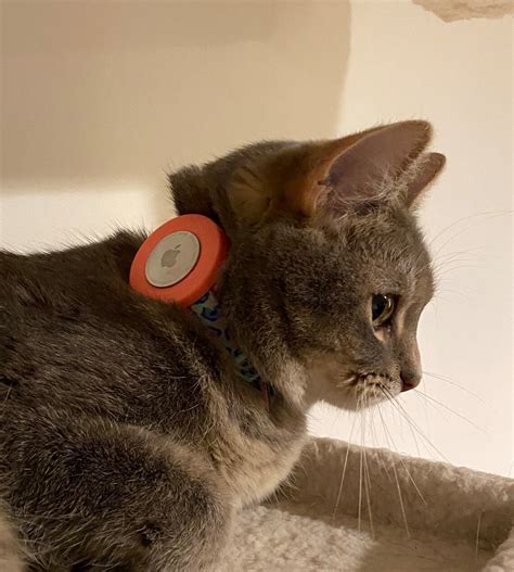 Are Airtags Good For Cats
