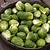 are brussel sprouts a superfood
