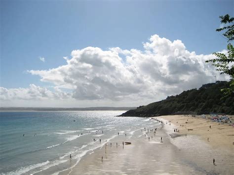 Country View Cottages Blog — Cornish Beaches Where Dogs