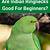 are indian ringnecks good for beginners
