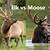 are moose and elk the same