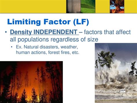 Are Natural Disasters Limiting Factors