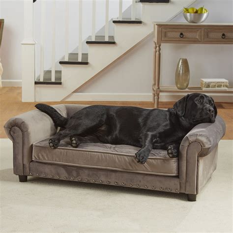 This Are Velvet Couches Good For Dogs For Small Space